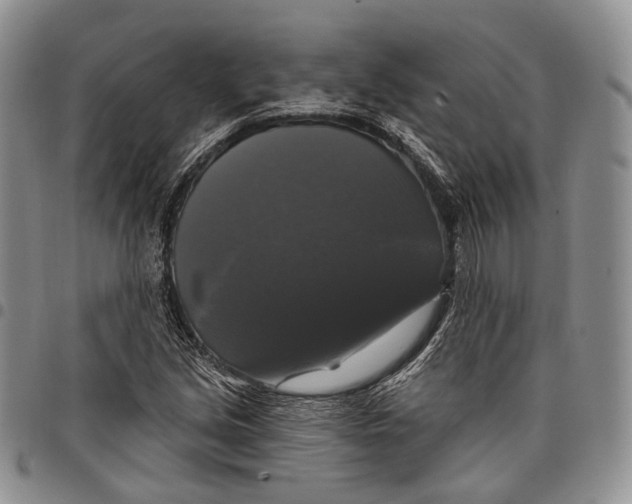 X0000097991213200804141133