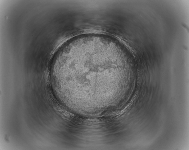 X0000097991215200804141134