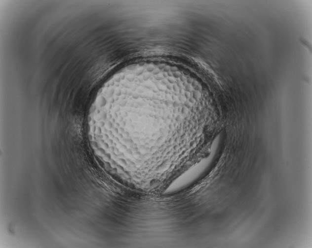 X0000097991217200804141134
