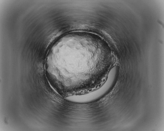 X0000097991218200804141134