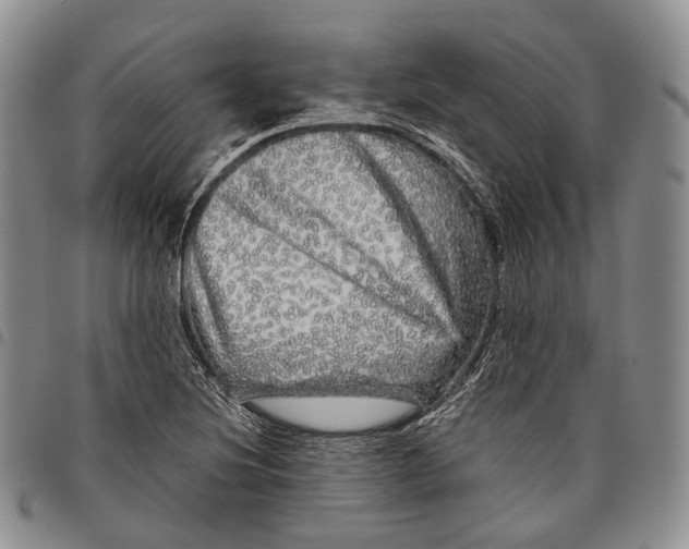 X0000097991220200804141134