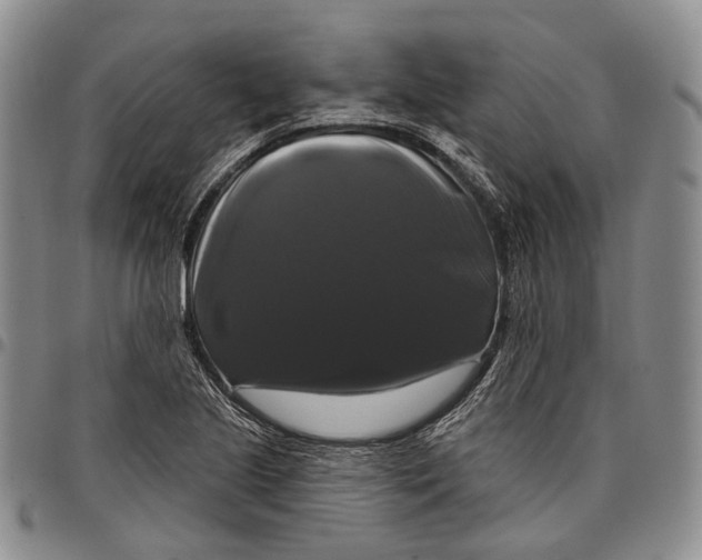 X0000097991221200804141134