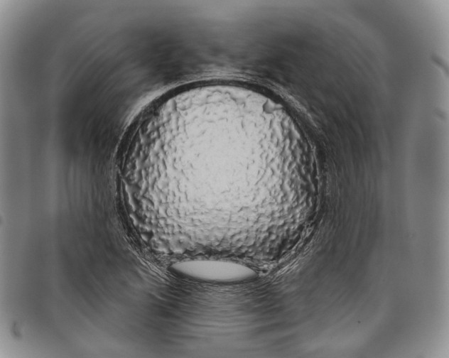X0000097991222200804141134