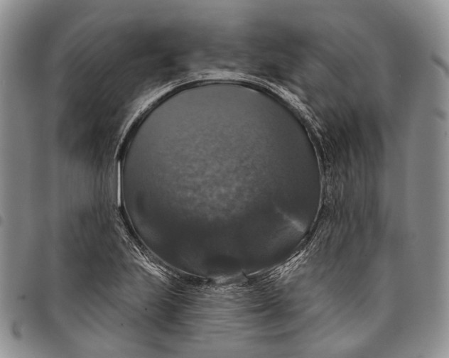 X0000097991223200804141134