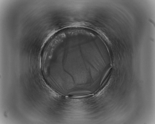 X0000097991224200804141134