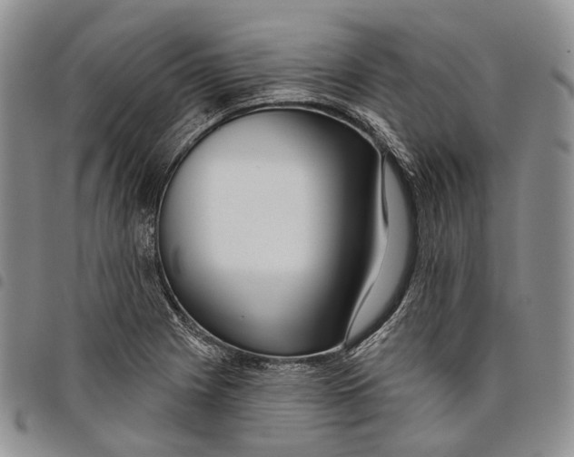 X0000097991225200804141134