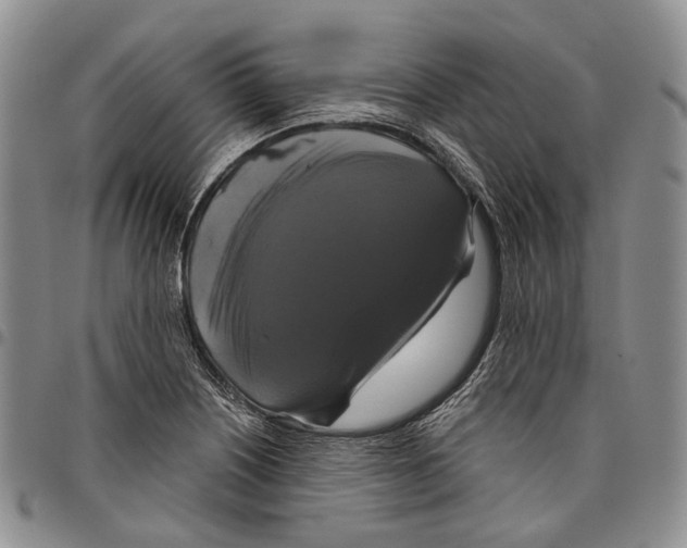 X0000097991226200804141134