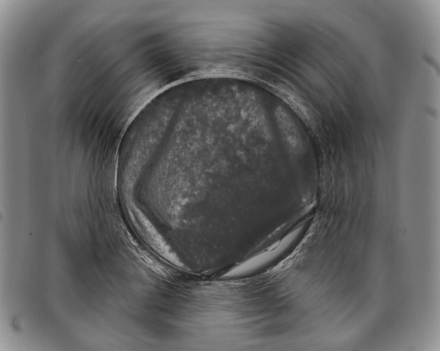 X0000097991228200804141134