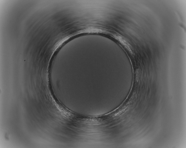 X0000097991229200804141134