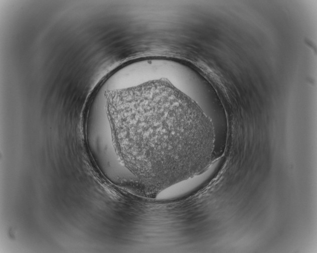 X0000097991230200804141134