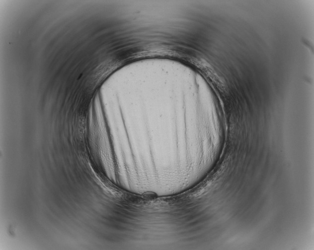 X0000097991233200804141134