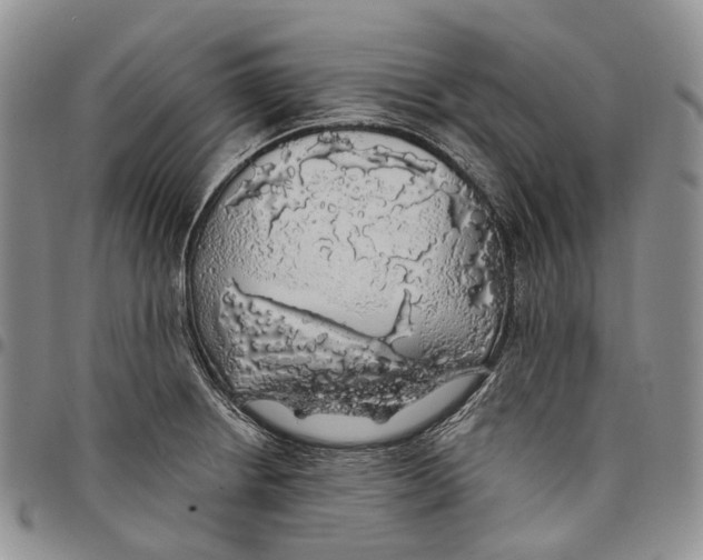 X0000097991234200804141134