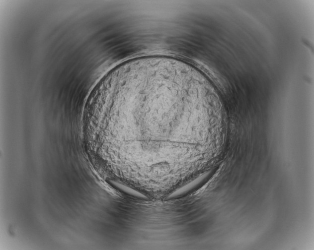 X0000097991236200804141134