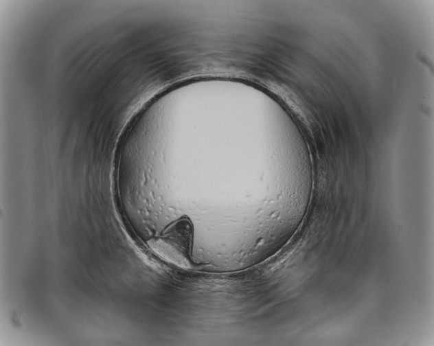 X0000097991237200804141134