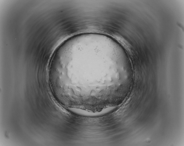 X0000097991238200804141134