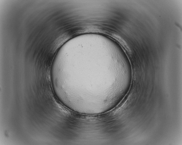 X0000097991241200804141134