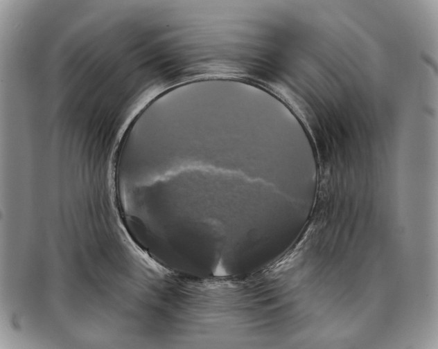 X0000097991243200804141134