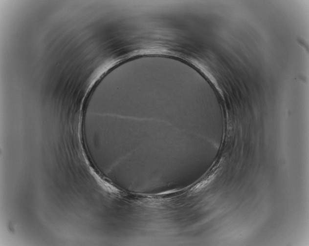 X0000097991245200804141134