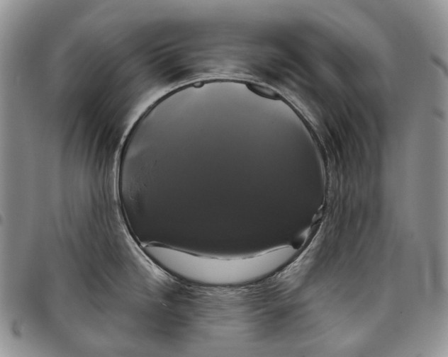 X0000097991246200804141134