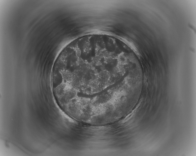 X0000097991247200804141134