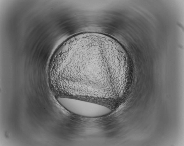 X0000097991248200804141134