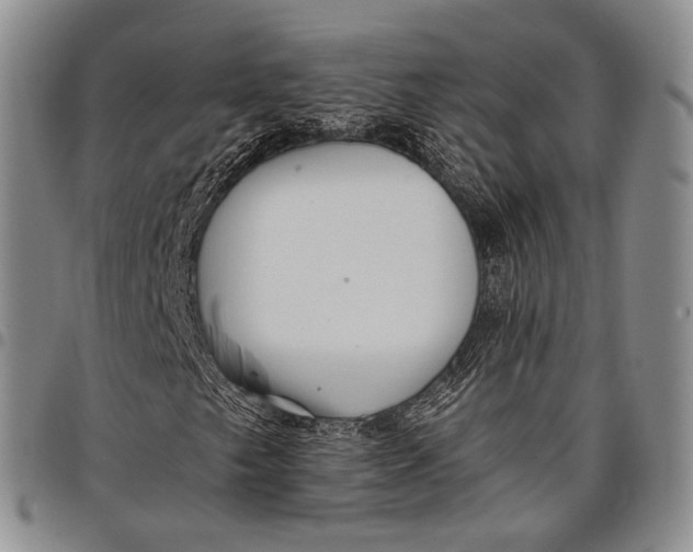 X0000097991249200804141133