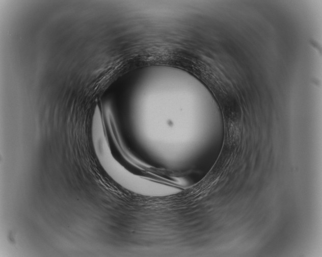 X0000097991250200804141133