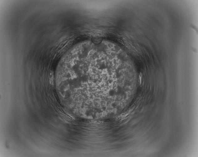 X0000097991251200804141133
