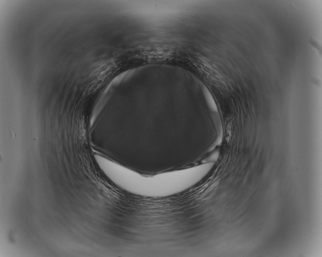 X0000097991252200804141133