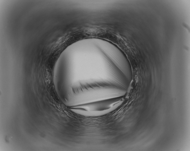 X0000097991253200804141133