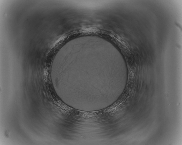 X0000097991254200804141133