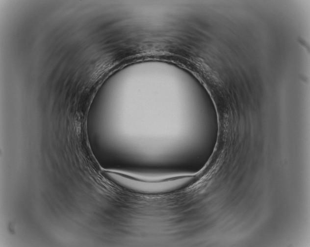 X0000097991257200804141133