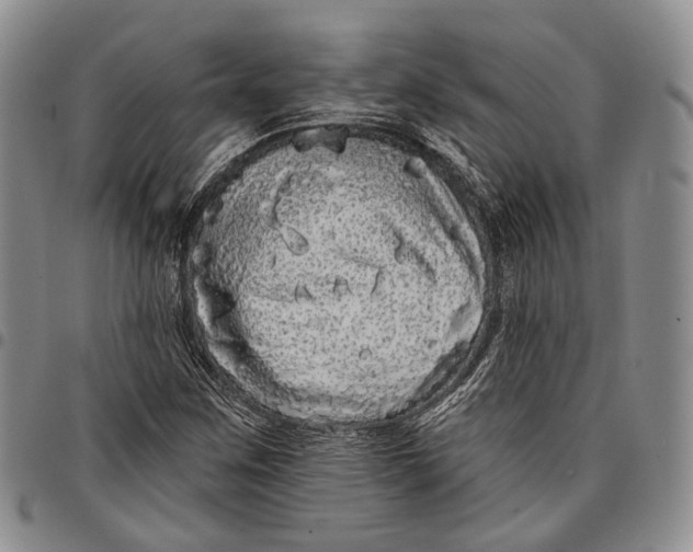 X0000097991259200804141133