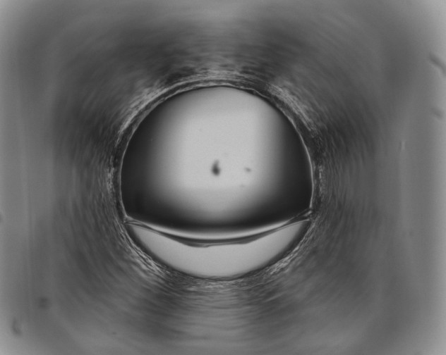 X0000097991260200804141133