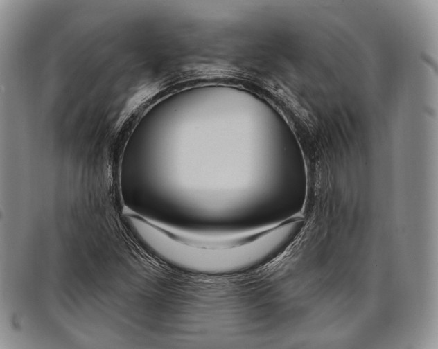 X0000097991261200804141133