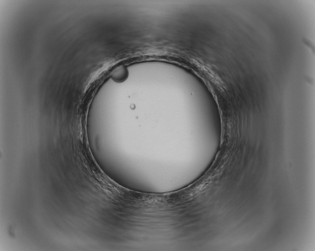 X0000097991262200804141133