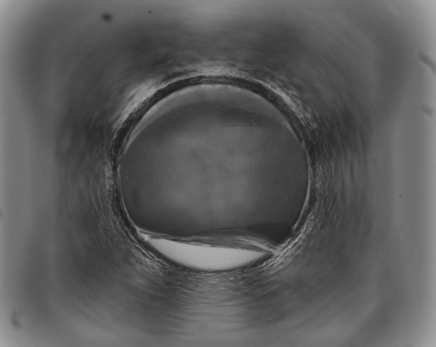 X0000097991263200804141133