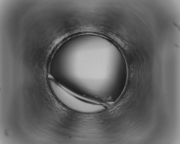 X0000097991264200804141133