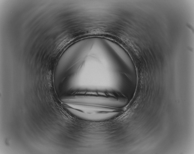 X0000097991265200804141133
