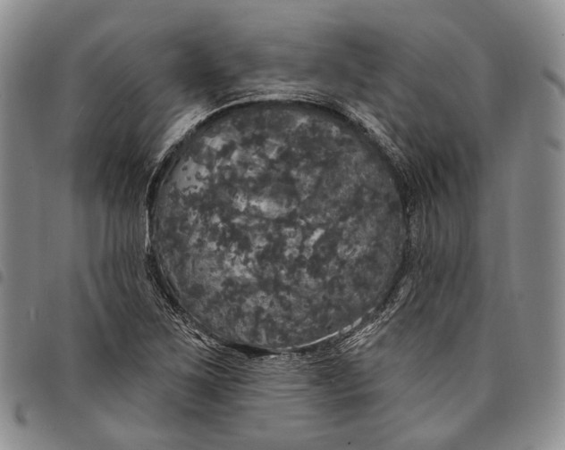 X0000097991267200804141133
