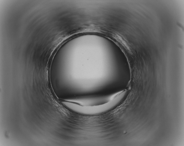 X0000097991268200804141133