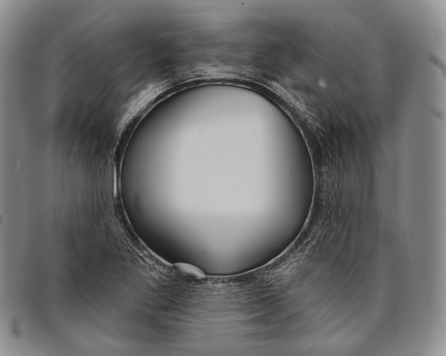 X0000097991269200804141133