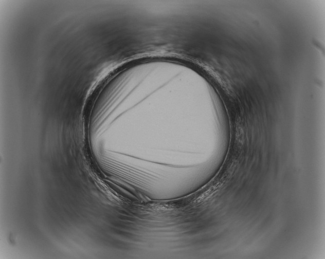 X0000097991270200804141133