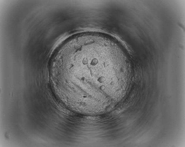 X0000097991271200804141133