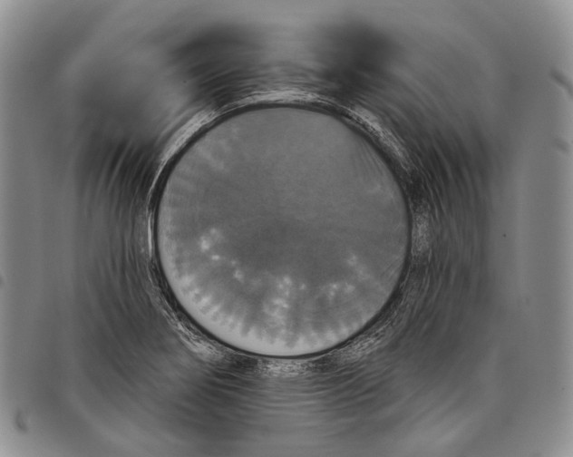 X0000097991274200804141133