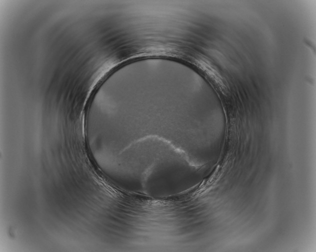 X0000097991275200804141133