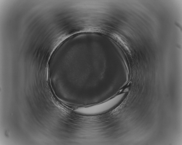 X0000097991276200804141133