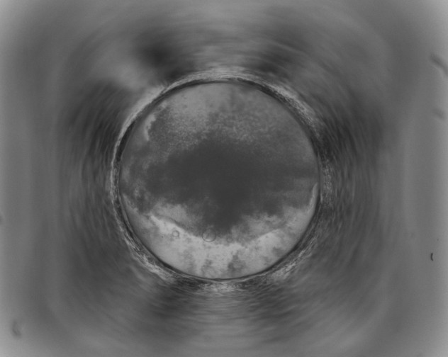 X0000097991278200804141133