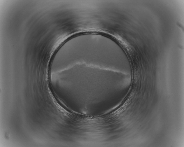 X0000097991279200804141133