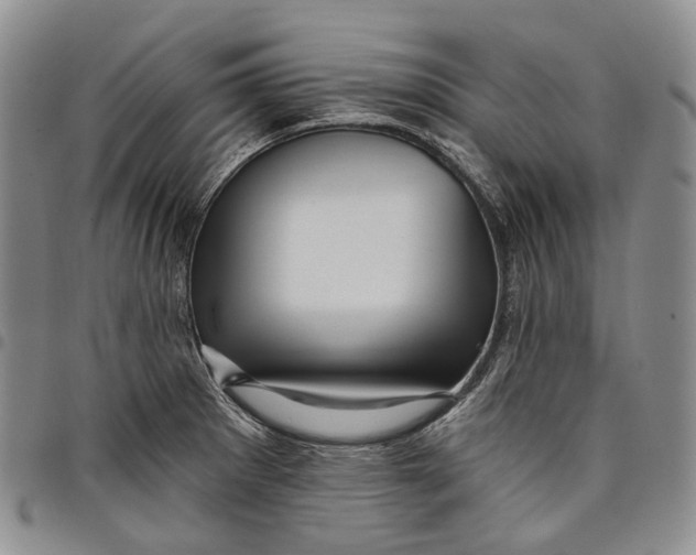 X0000097991281200804141133
